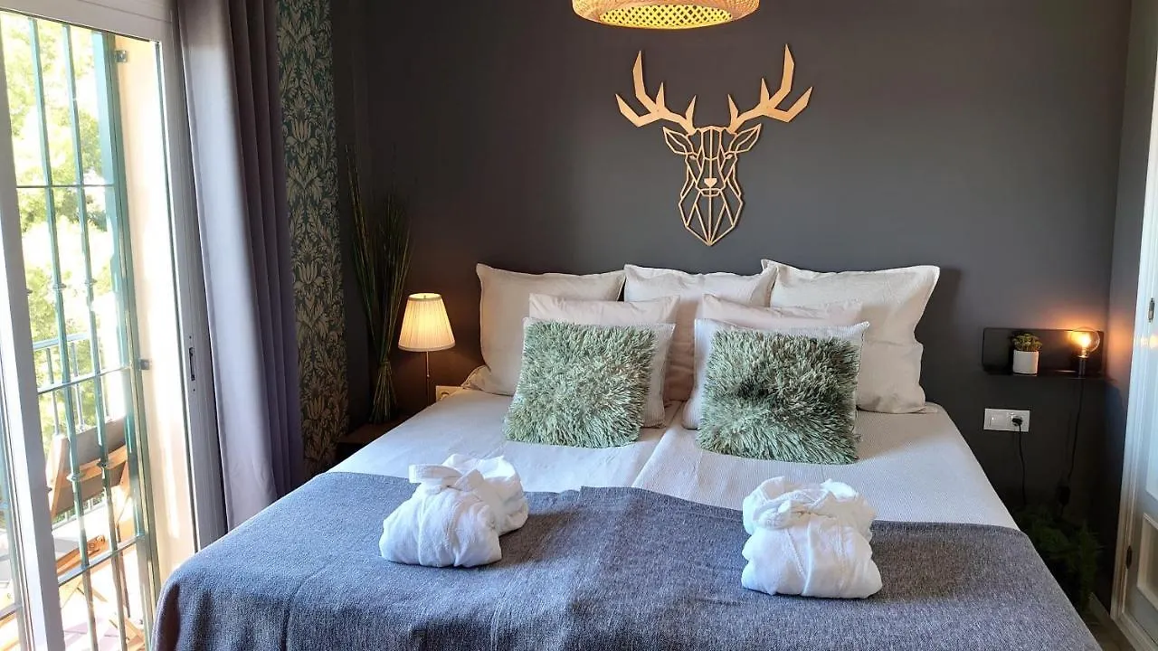 Carmen Rooms -- Boutique B&B By The Sea 内尔哈 招待所