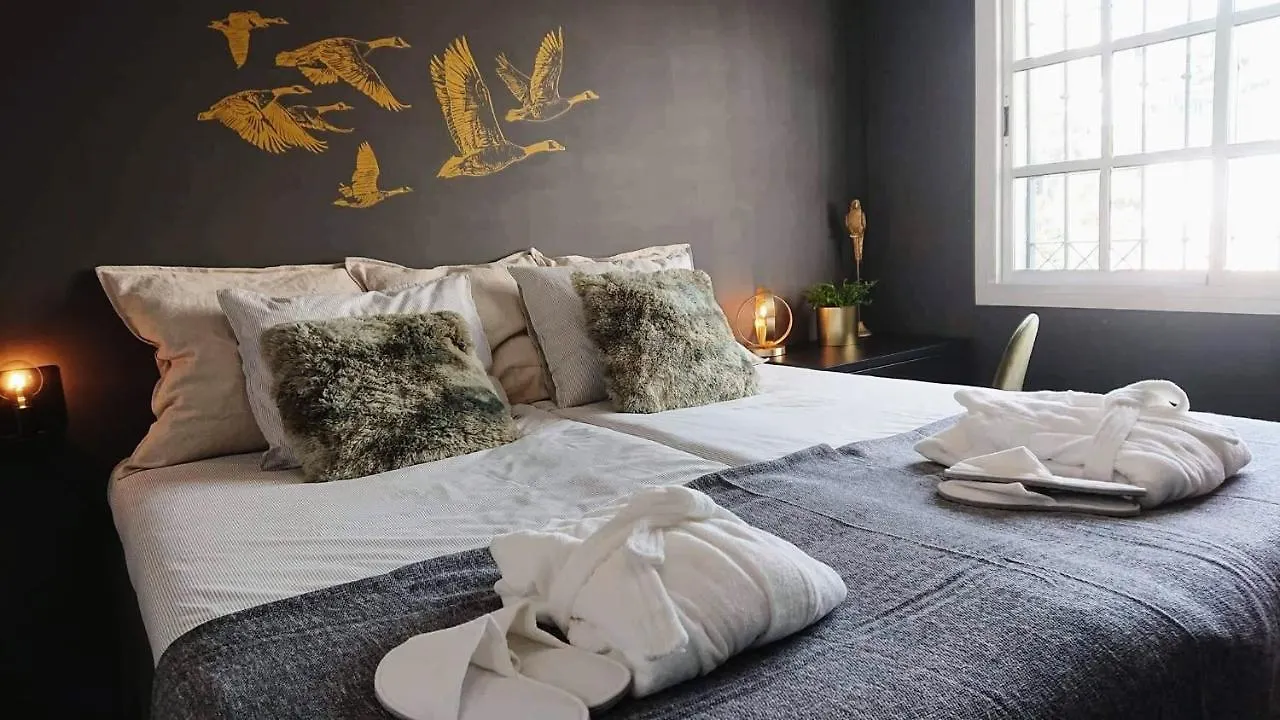 Carmen Rooms -- Boutique B&B By The Sea 内尔哈